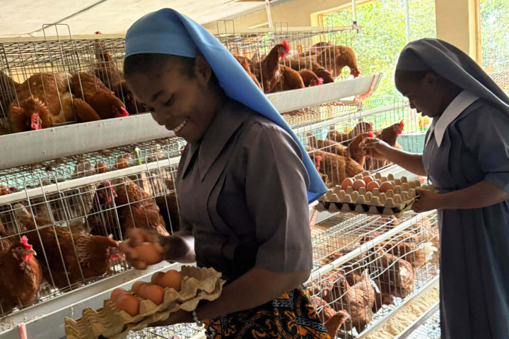 Nachhaltige Entwicklung beginnt vor Ort