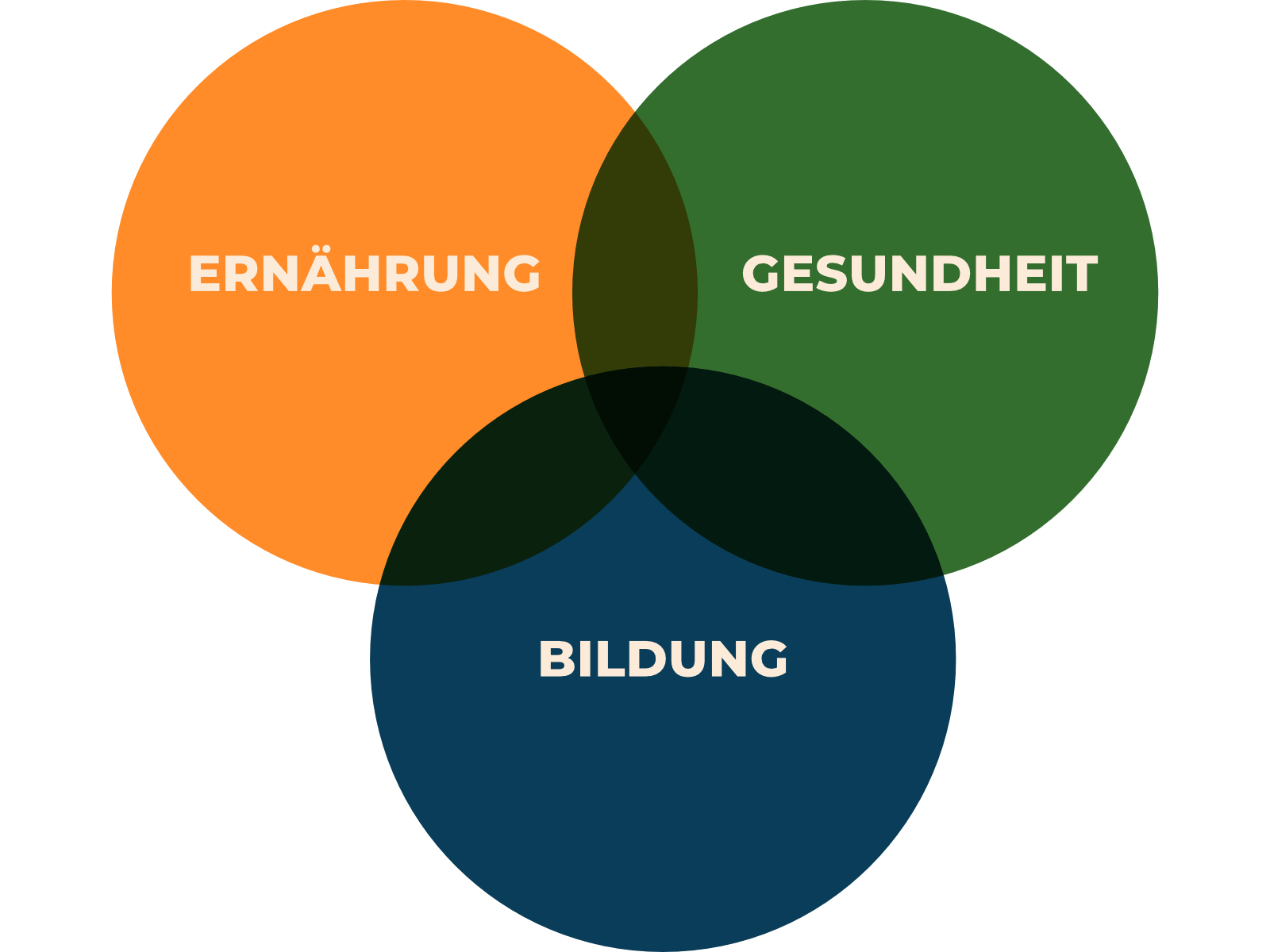 Grafik, die drei Kreise mit den Schlagworte Ernährung, Gesundheit und Bildung zeigt